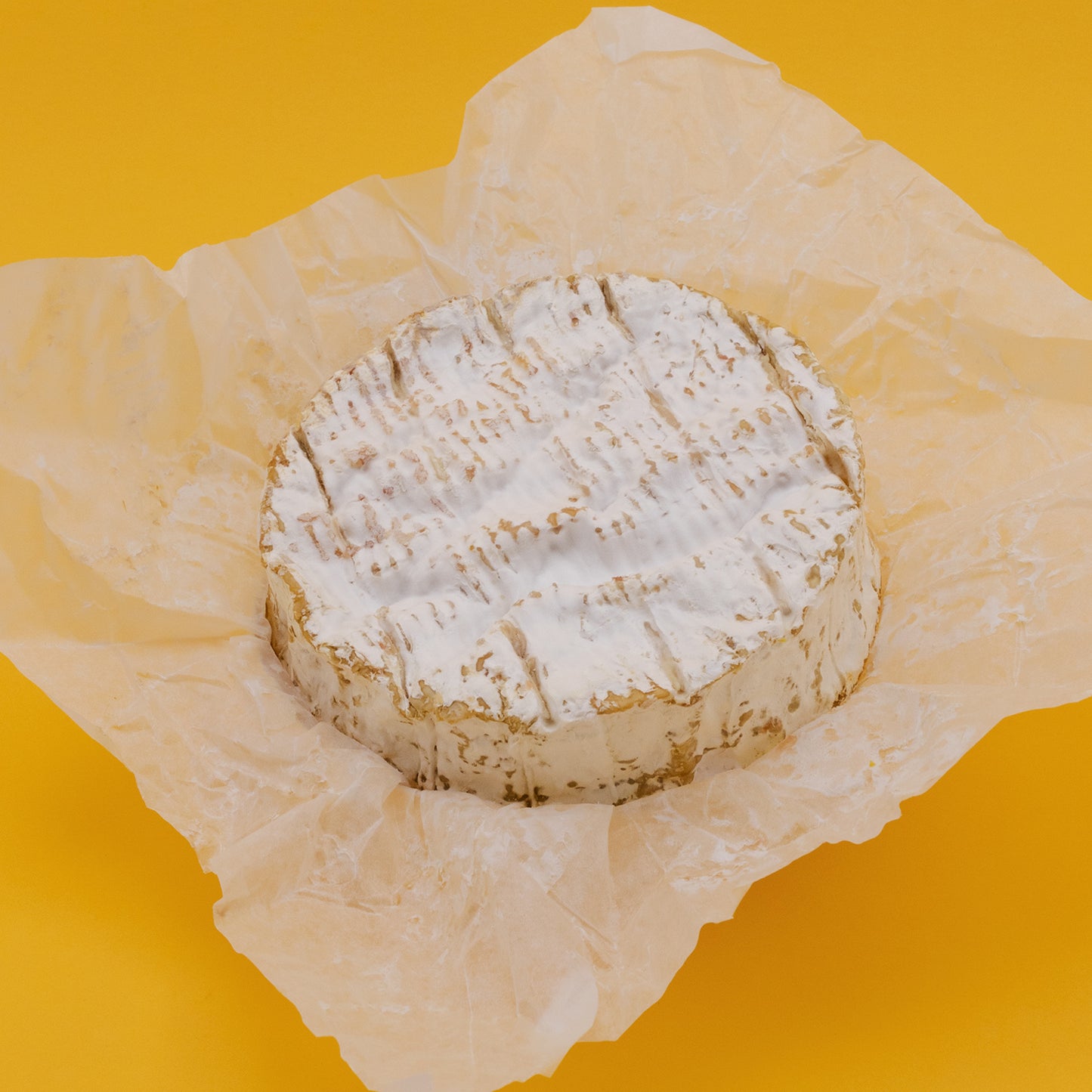 Camembert au lait cru