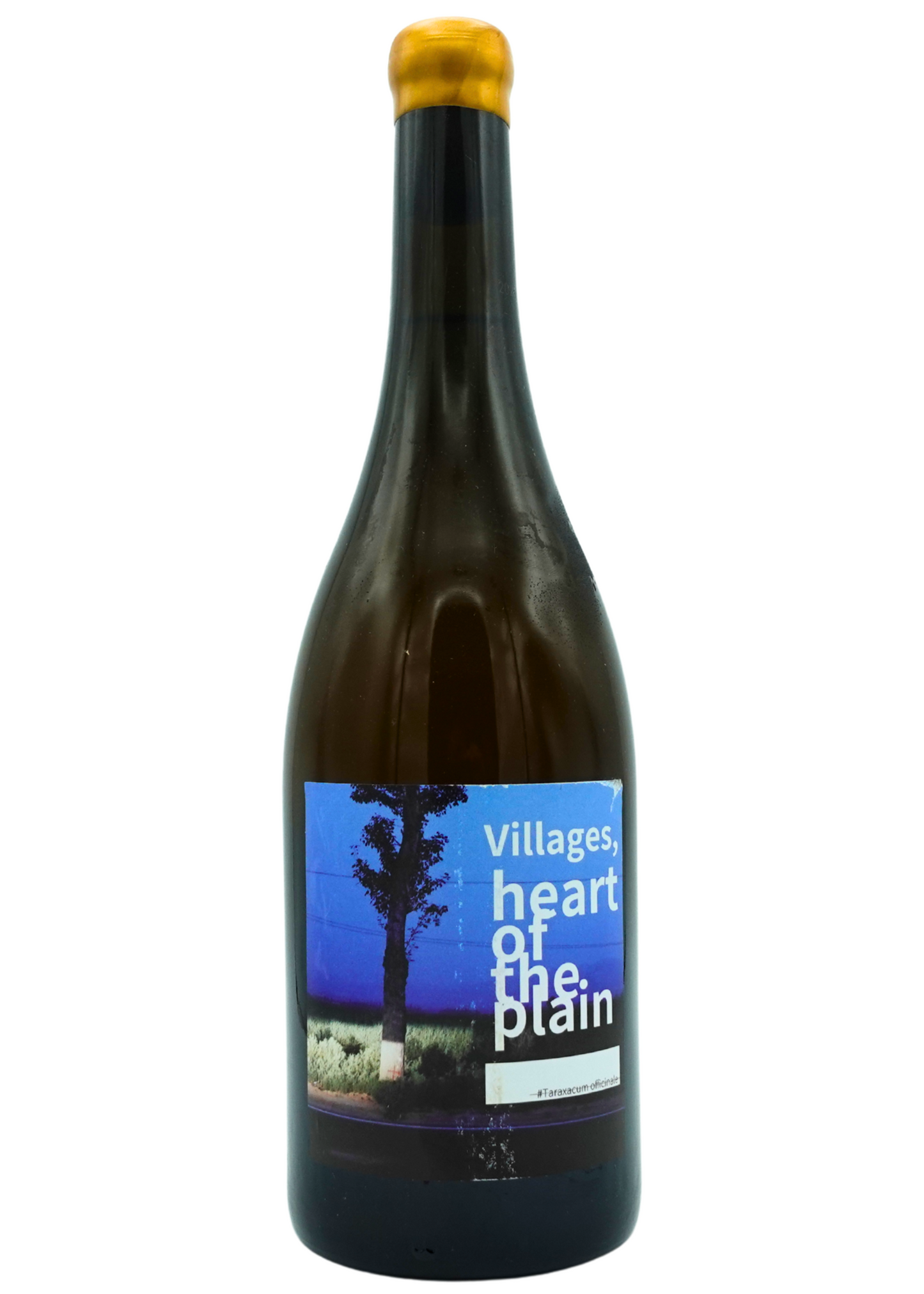 Gloriville Villages, Heart of the Plain 2022/2023